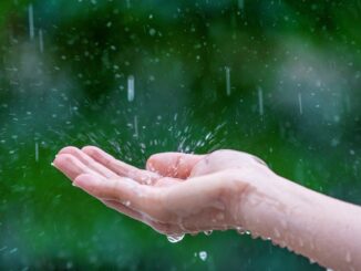 Prší, dlaň nastavená do deště zachytává kapky.