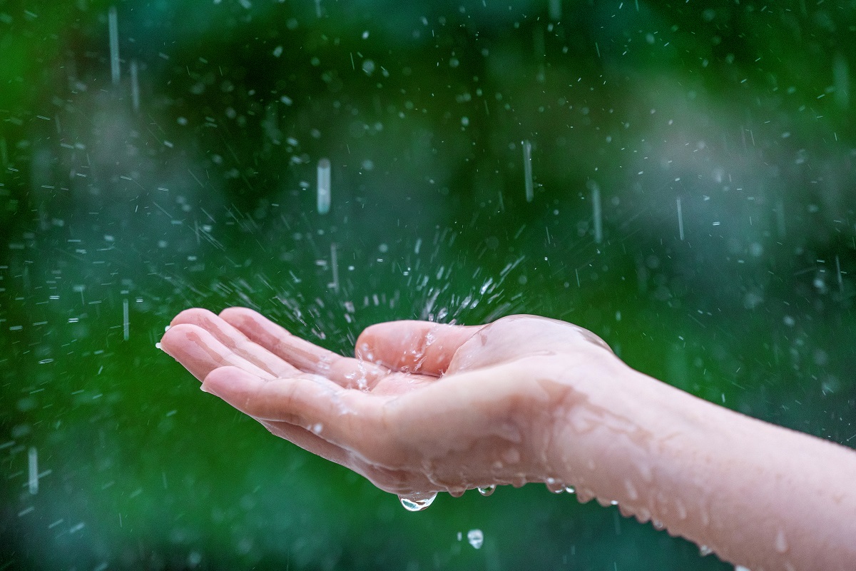 Prší, dlaň nastavená do deště zachytává kapky.