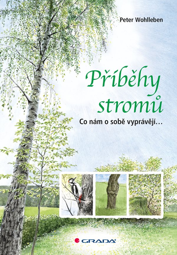 Peter Wohlleben: Příběhy stromů