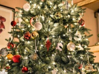 Jak zdobily vánoční stromek prababičky a proč se říká Těsnohlídkův vánoční strom?