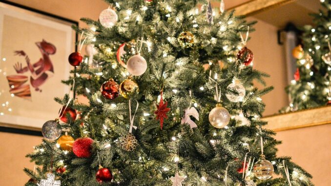 Jak zdobily vánoční stromek prababičky a proč se říká Těsnohlídkův vánoční strom?