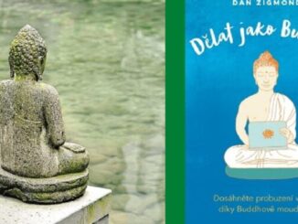 Dělat jako Buddha – Dan Zigmond