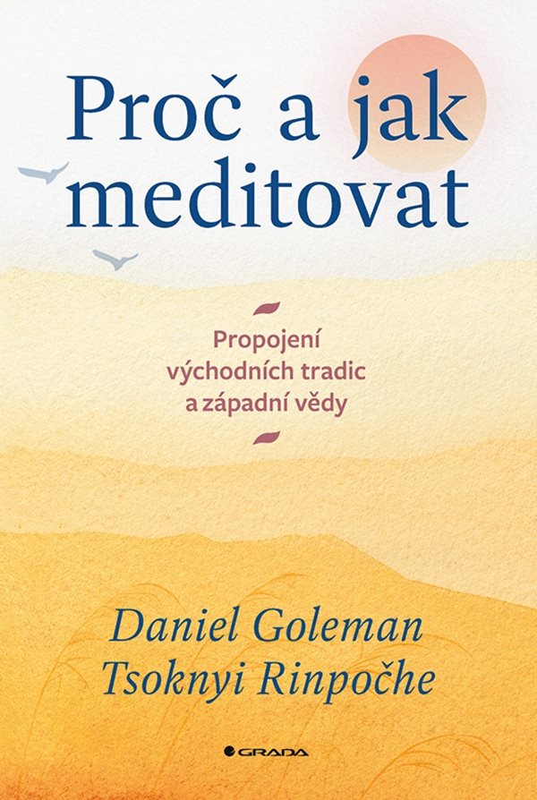 Daniel Goleman a Tsoknyi Rinpočhe: Proč a jak meditovat