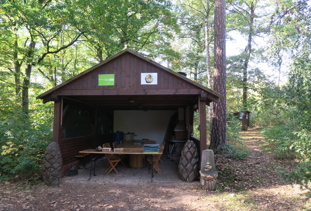 Arboretum Sofronka v Plzni