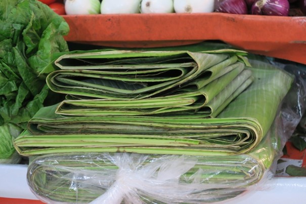 Expedice CHIMÉRA IX.