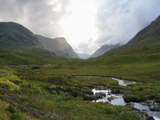 Dojemný příběh o ztrátě, naději a nových začátcích