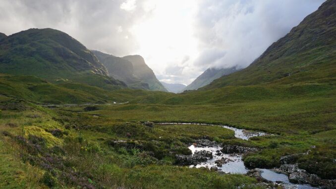 Dojemný příběh o ztrátě, naději a nových začátcích