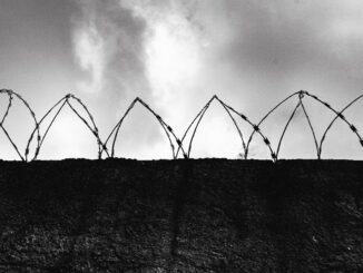 Gwen Strauss: Milena a Margarete