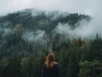 Michaela Klevisová: Prokletý kraj