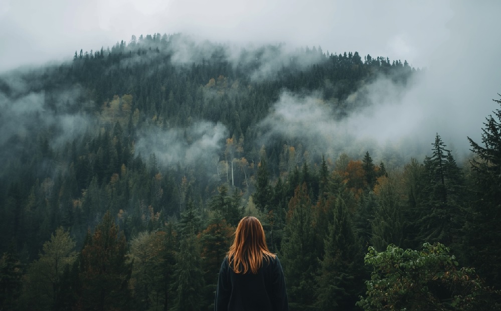 Michaela Klevisová: Prokletý kraj