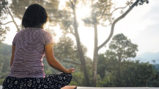 Moudrost zenu – Klasické buddhistické učení ke zklidnění mysli