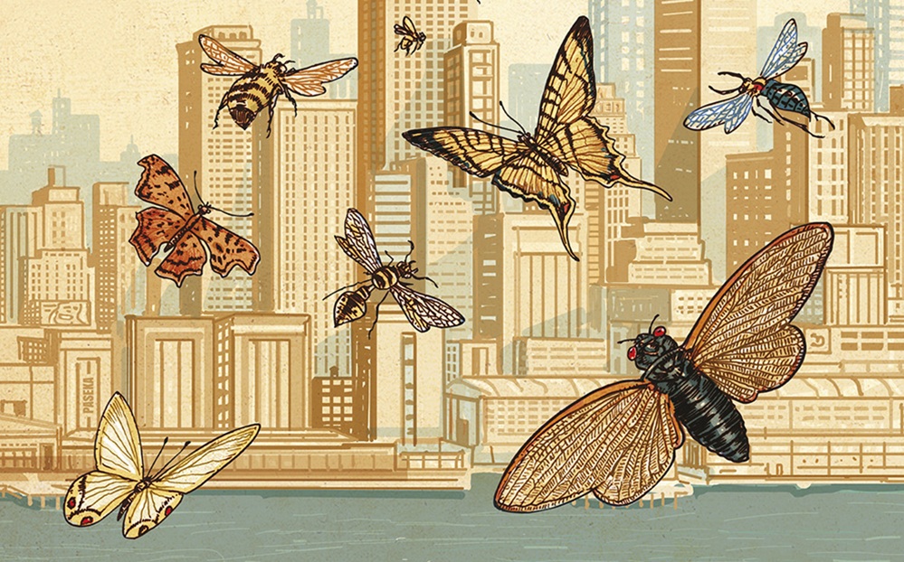 Insectopolis_Paseka_kniha_knihobaze